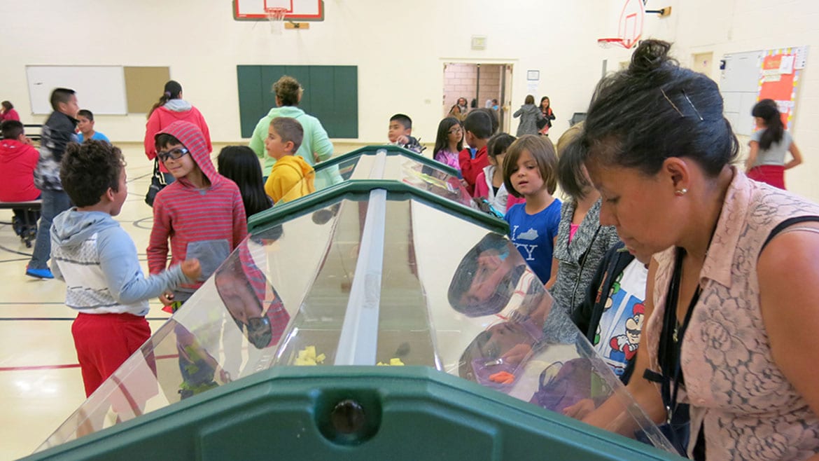 Salad bar at school cafeteria