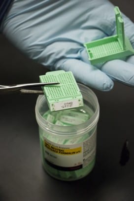 sample of tissue in solution