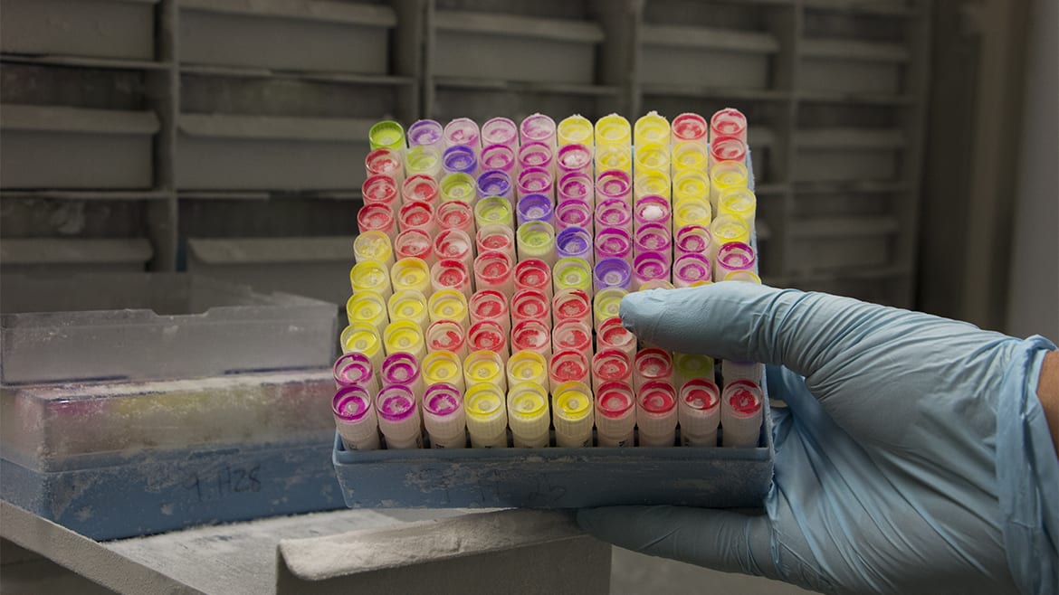 vials of blood byproducts