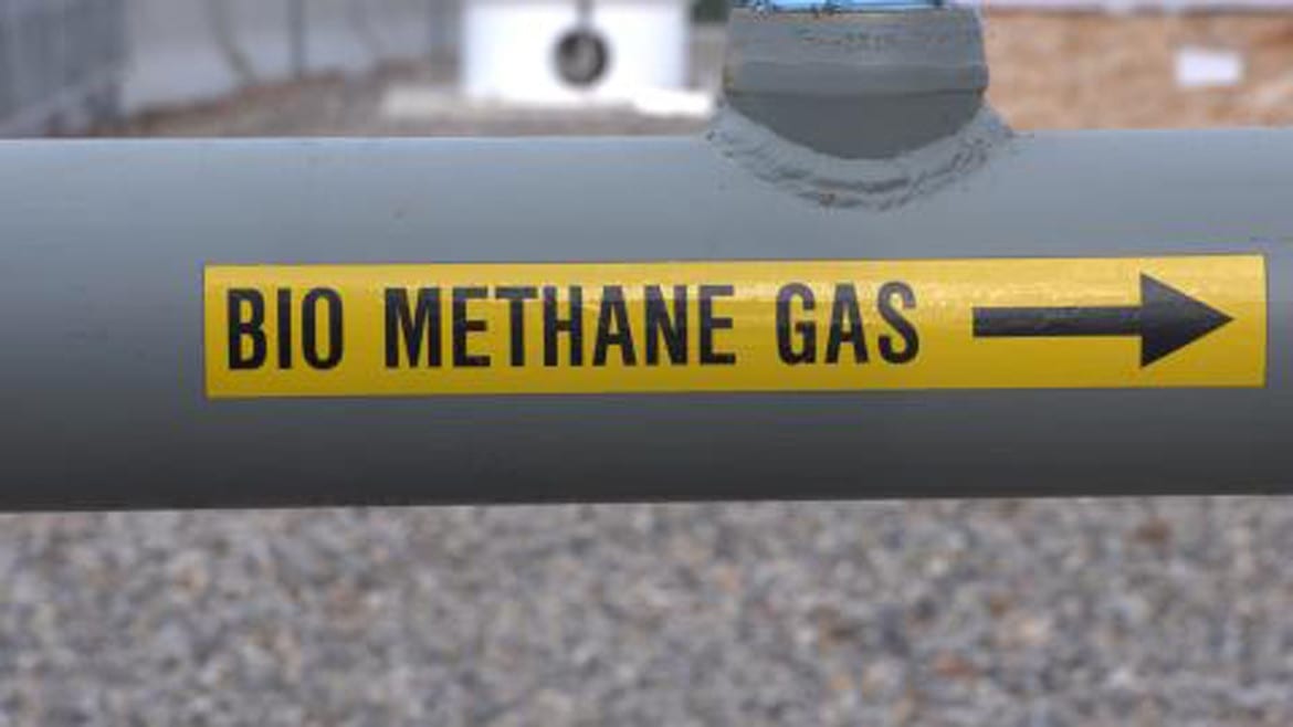 Grand Junction, Colo., is now the first city in the U.S. to fuel its vehicle fleet with natural gas produced from human waste. (Photo: Rebecca Jacobson | Harvest Public Media)