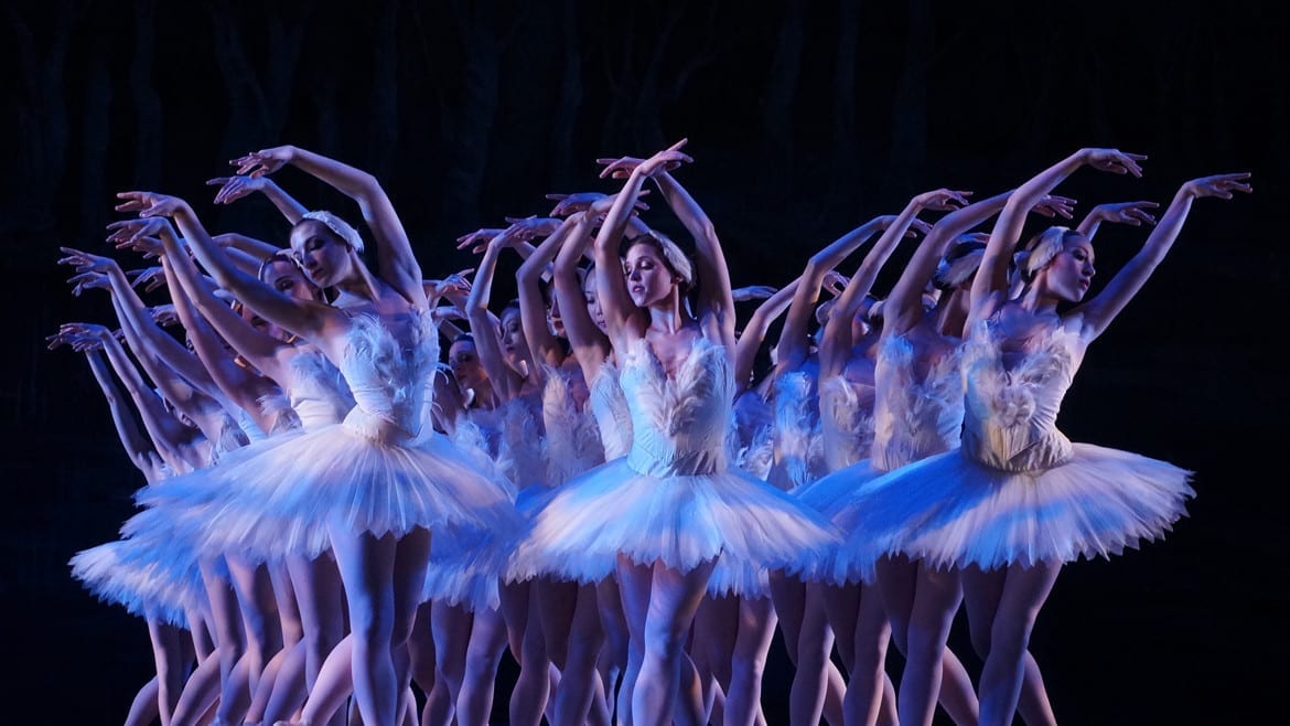 The ballerina flock at "Swan Lake". (Photo courtesy Kansas City Ballet)
