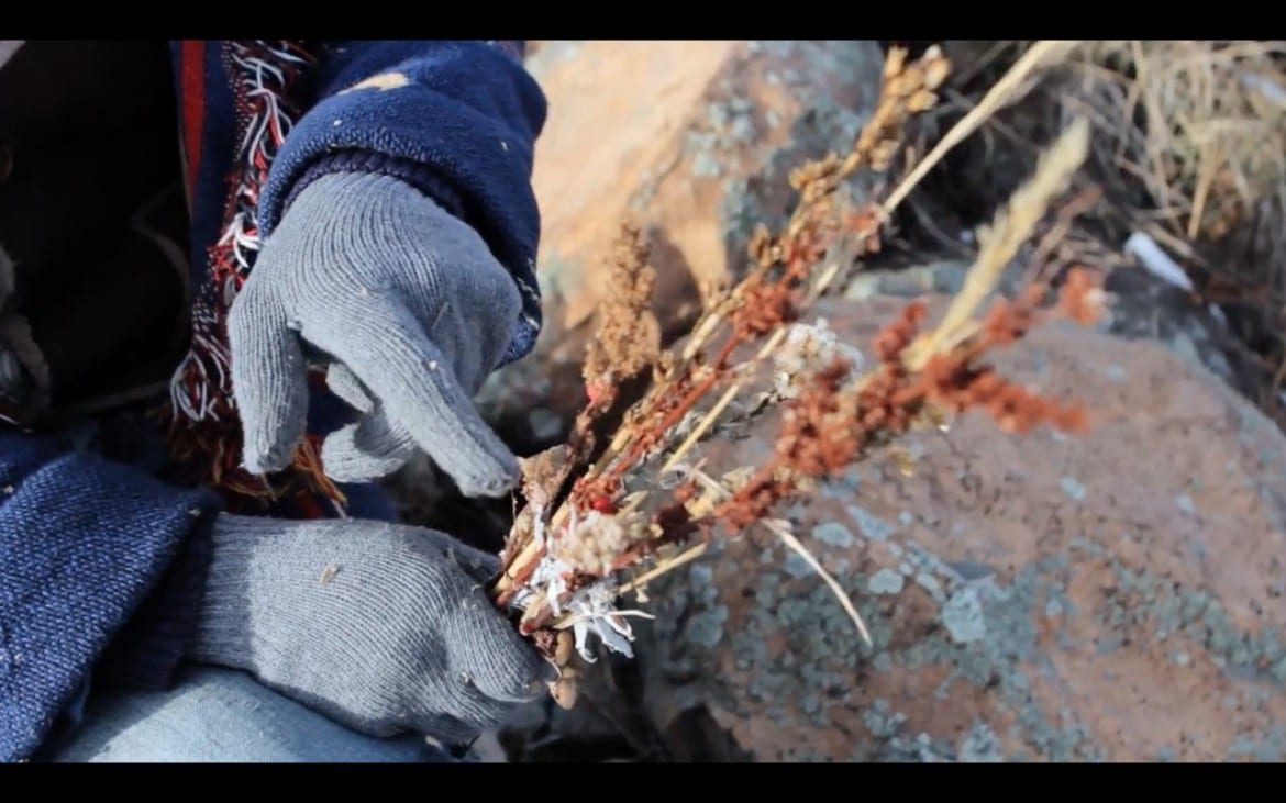 Hands holding a flower