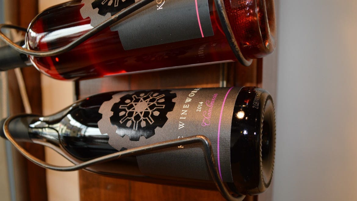 A pair of bottles hang on a wall.