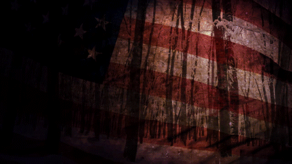 GIF for The Founders, Part II: John Calvin McCoy