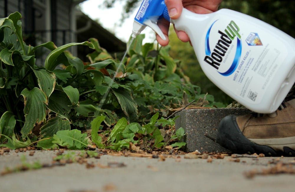 A Roundup bottle spraying.