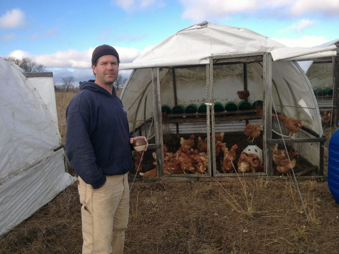 a man standing my a chicken pen.