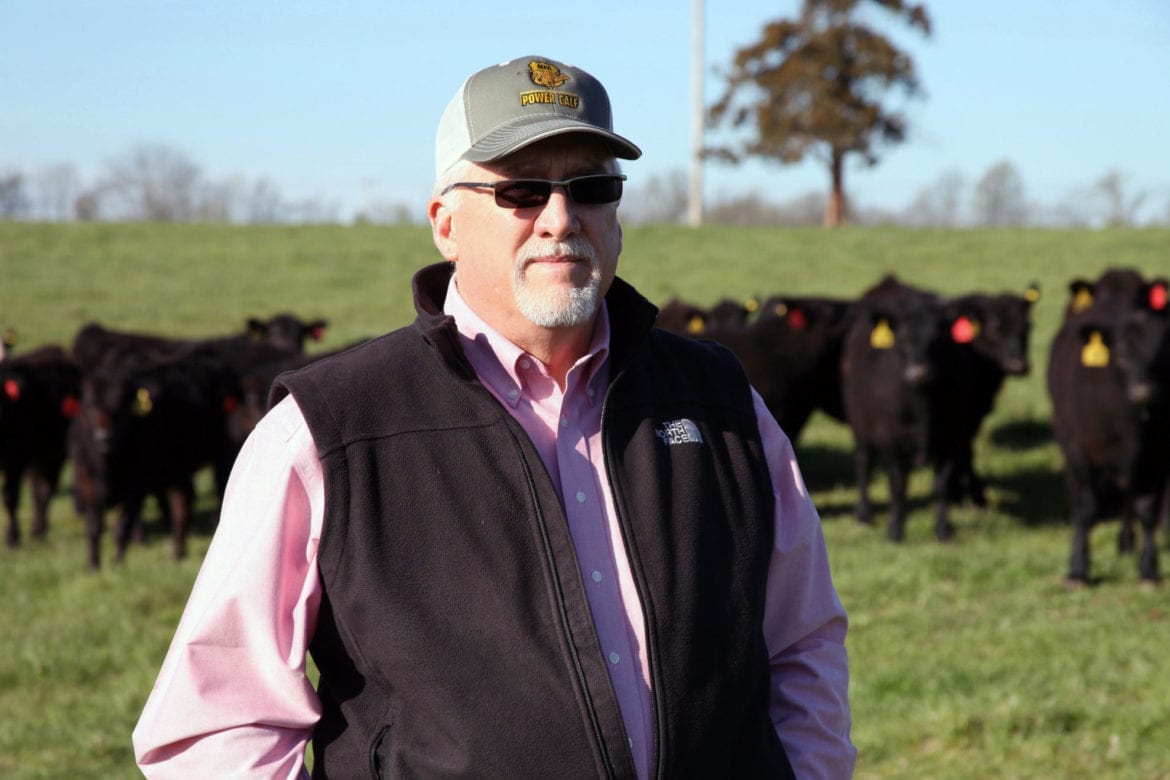A man standing in front of his cattle