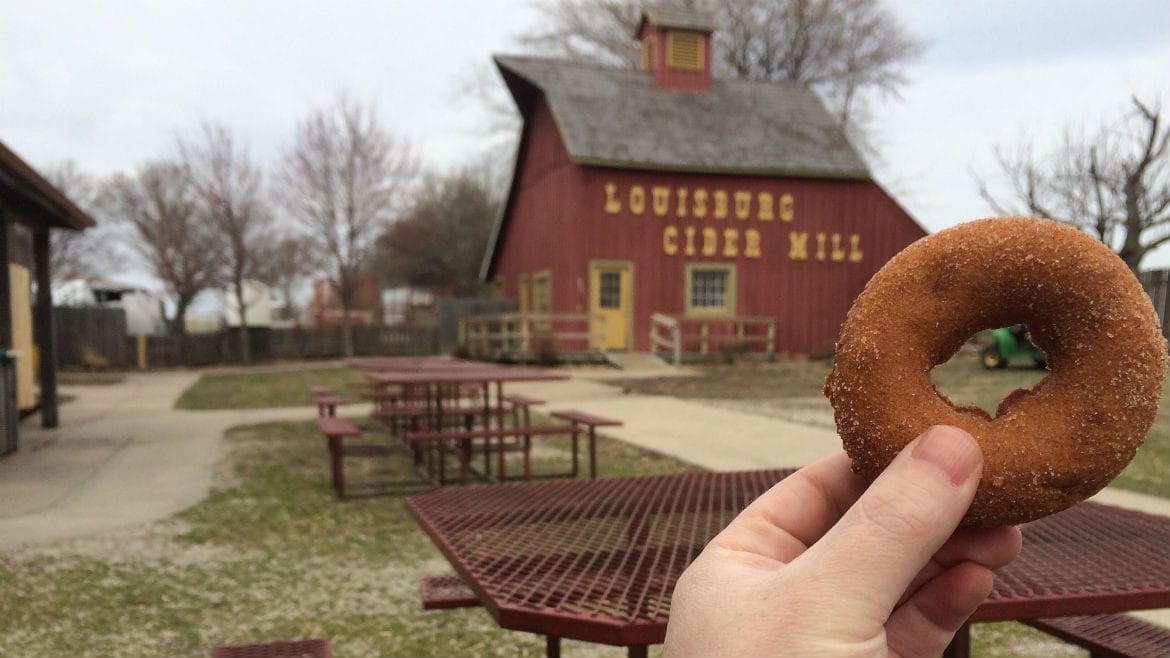 Cider donuts