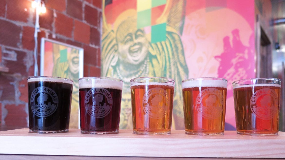 Casual Animal offers flights