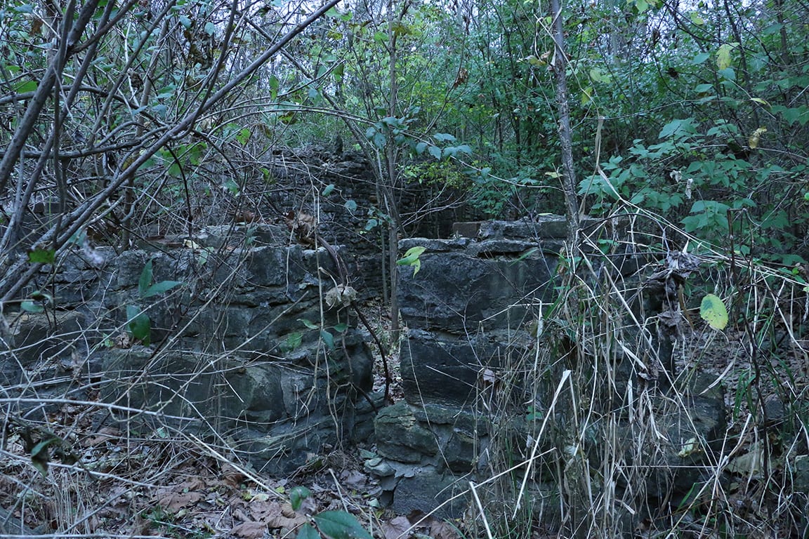 overgrown site