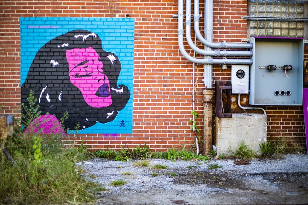 In an alley off 19th and Main streets (Brad Austin | Flatland)