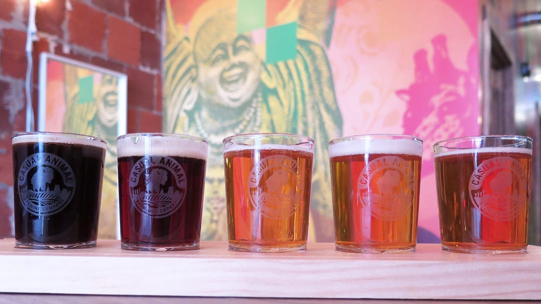 Casual Animal has a couple new options for its flights