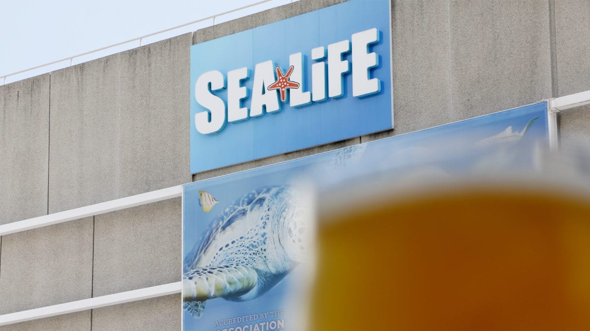 sea life sign