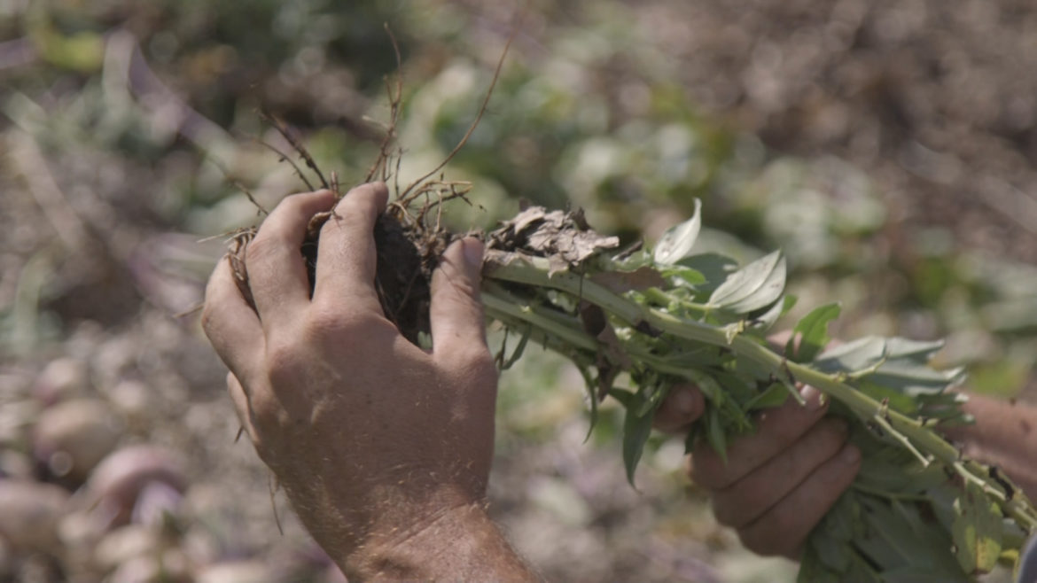 Climate change’s serious effects on Kansas Citians disproportionately affect the poor