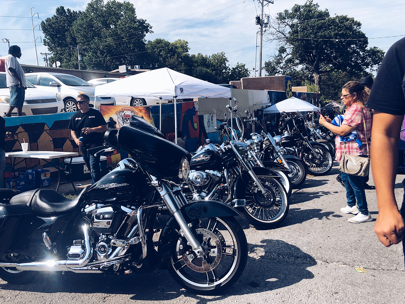 Custom bikes lined up at the Latino Arts Festival
