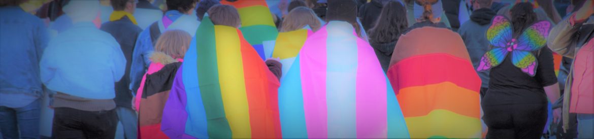 Pride flags. Springfield Pride Parage 2019.