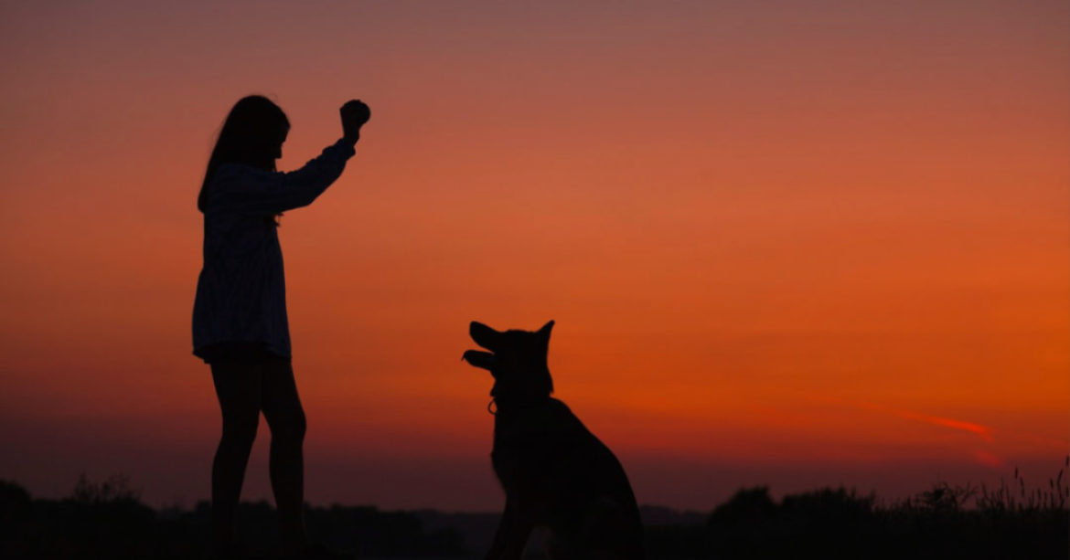 Woman with her dog in the sunset