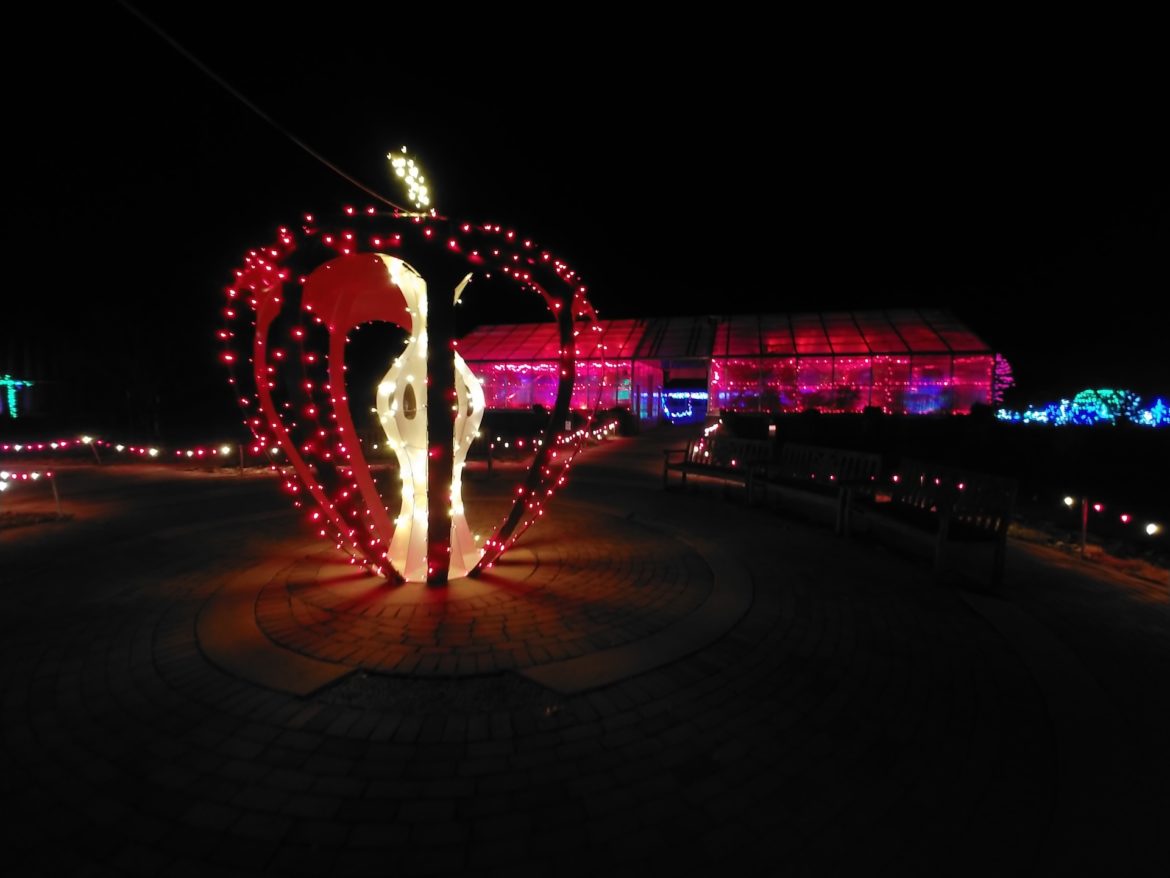 I large apple made out of Christmas lights sits in the garden.