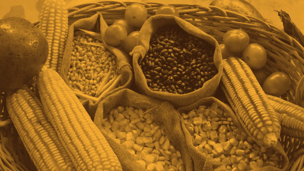 curiousKC food edition