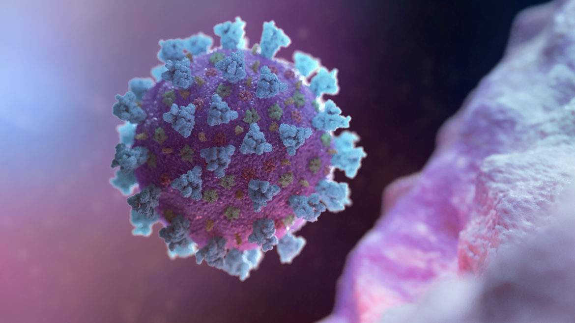 Coronavirus computer image