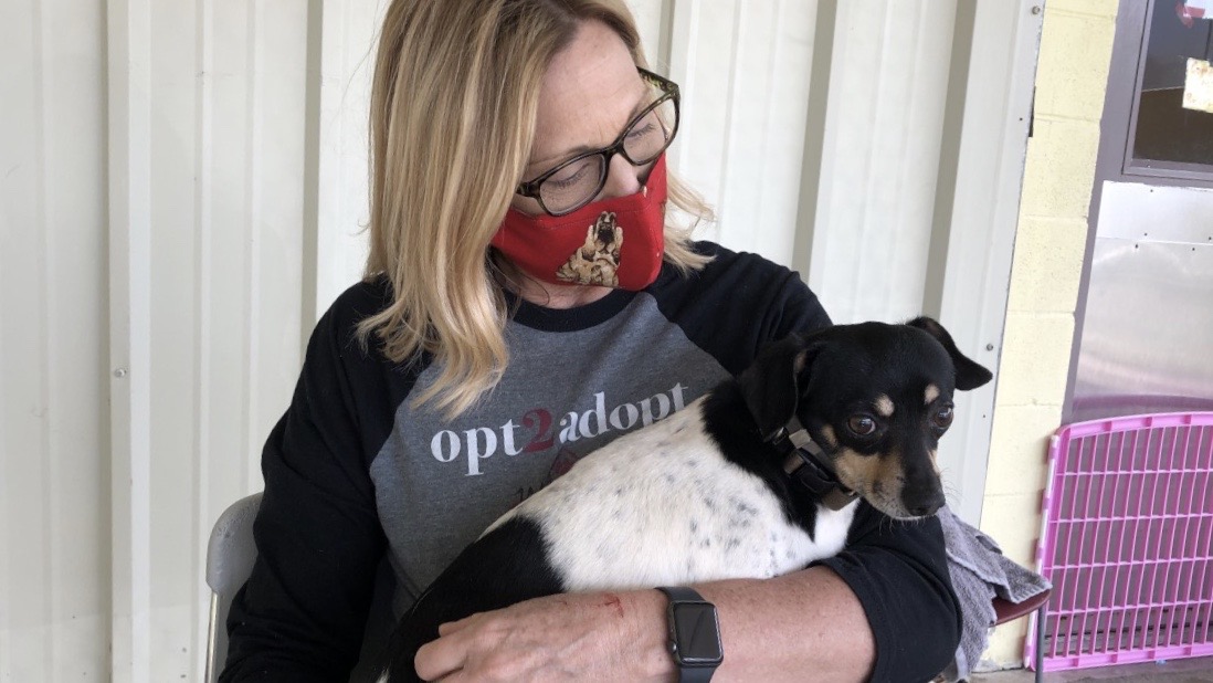 A masked woman holds a dog.