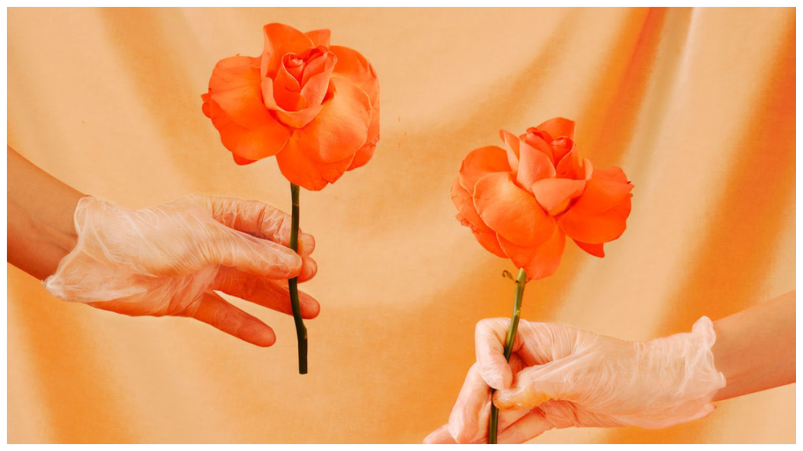 Roses held by gloved hands