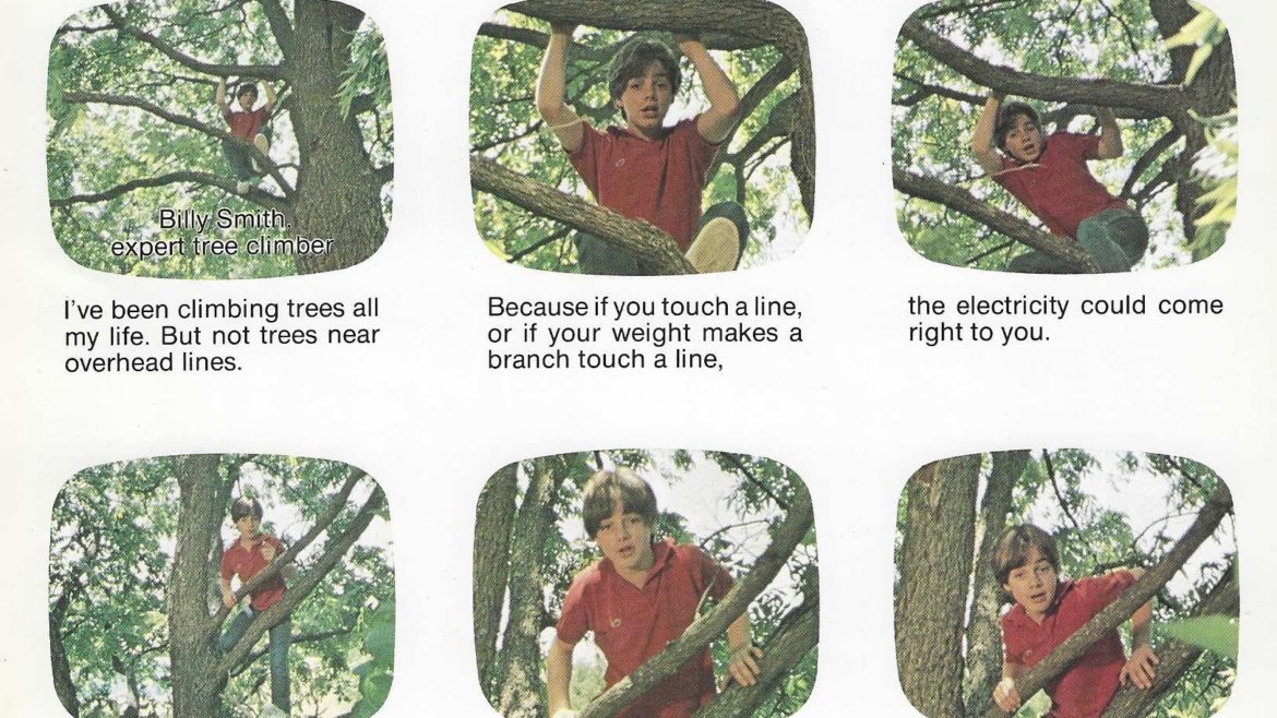 Six frames of the post-production storyboard for the Billy Smith Tree Climbing Expert PSA.