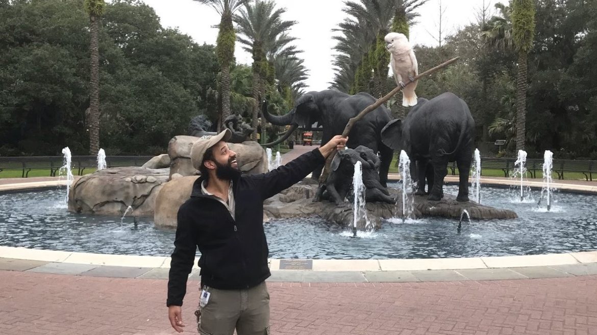 Alexander Grousis-Henderson