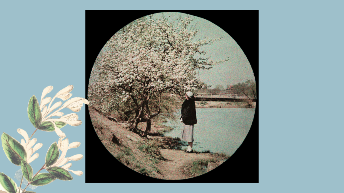 Troost Lake and its history