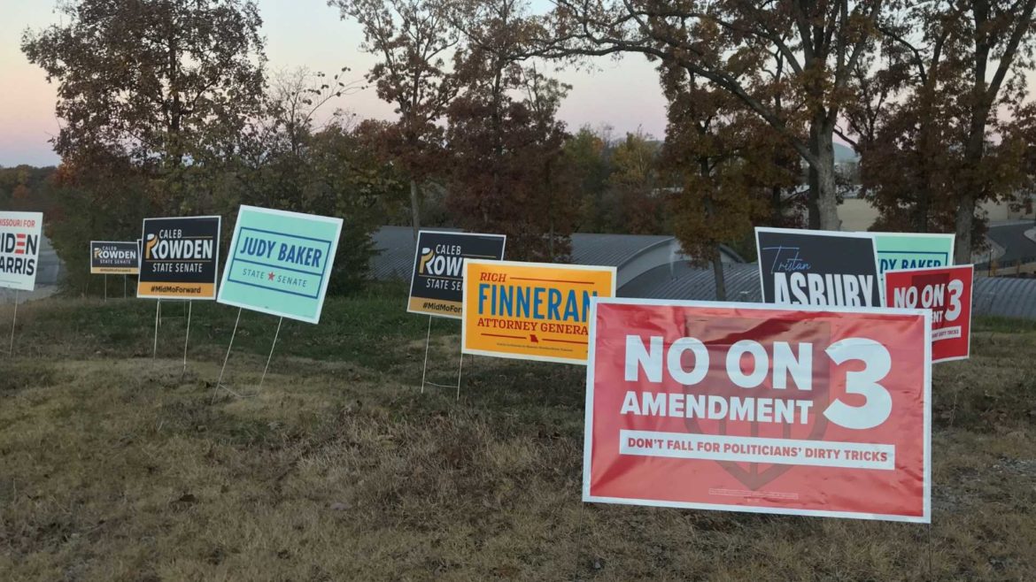 Amendment 3 yard sign