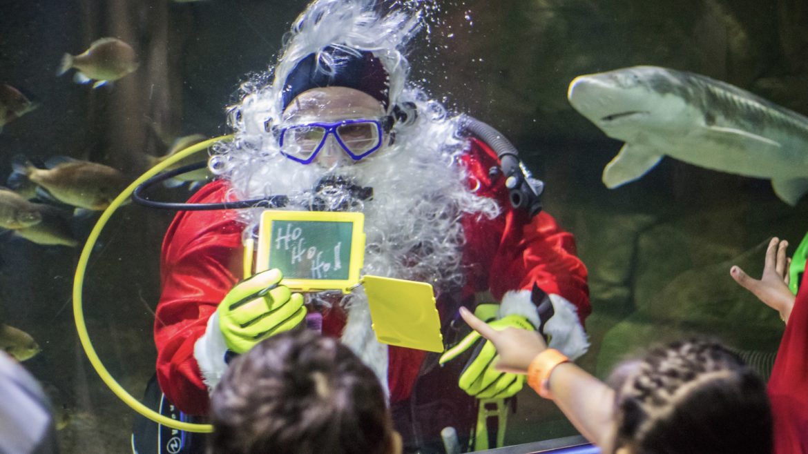 Santa underwater at Sea Life Aquarium.