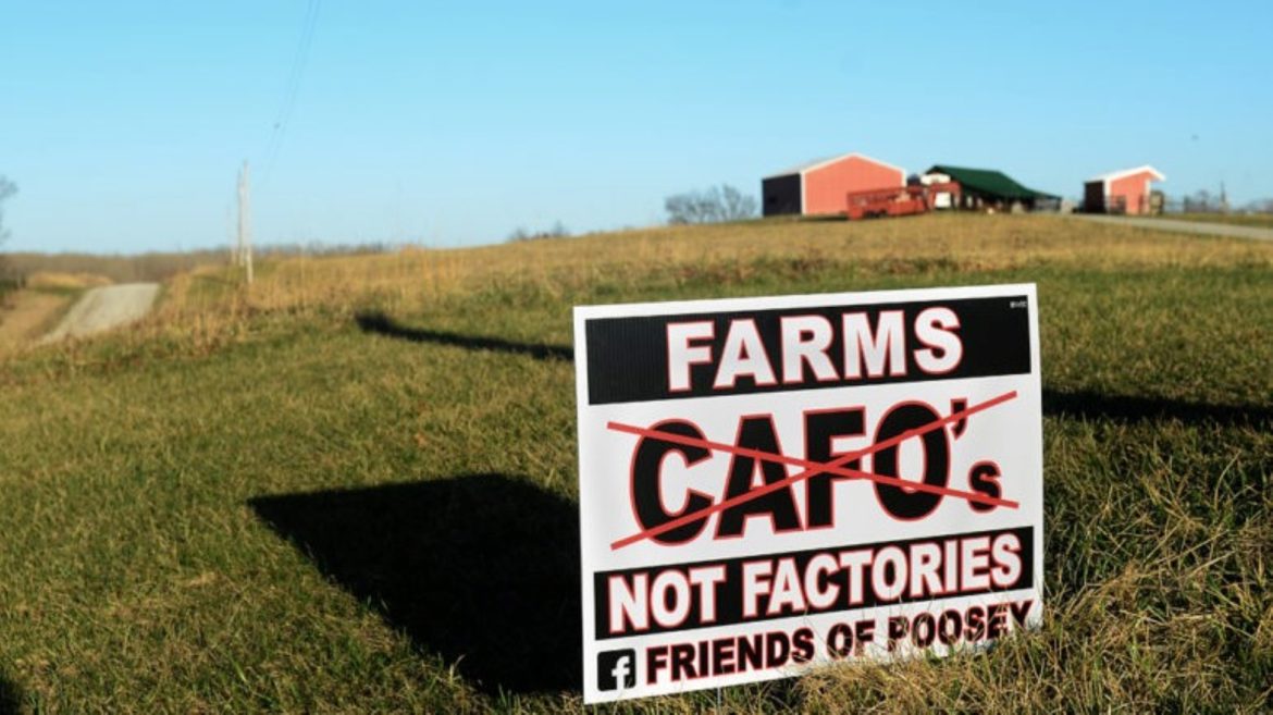 Bert Wire's farm sits behind the "Farms Not Factories" sign near Chillicothe, Missouri,