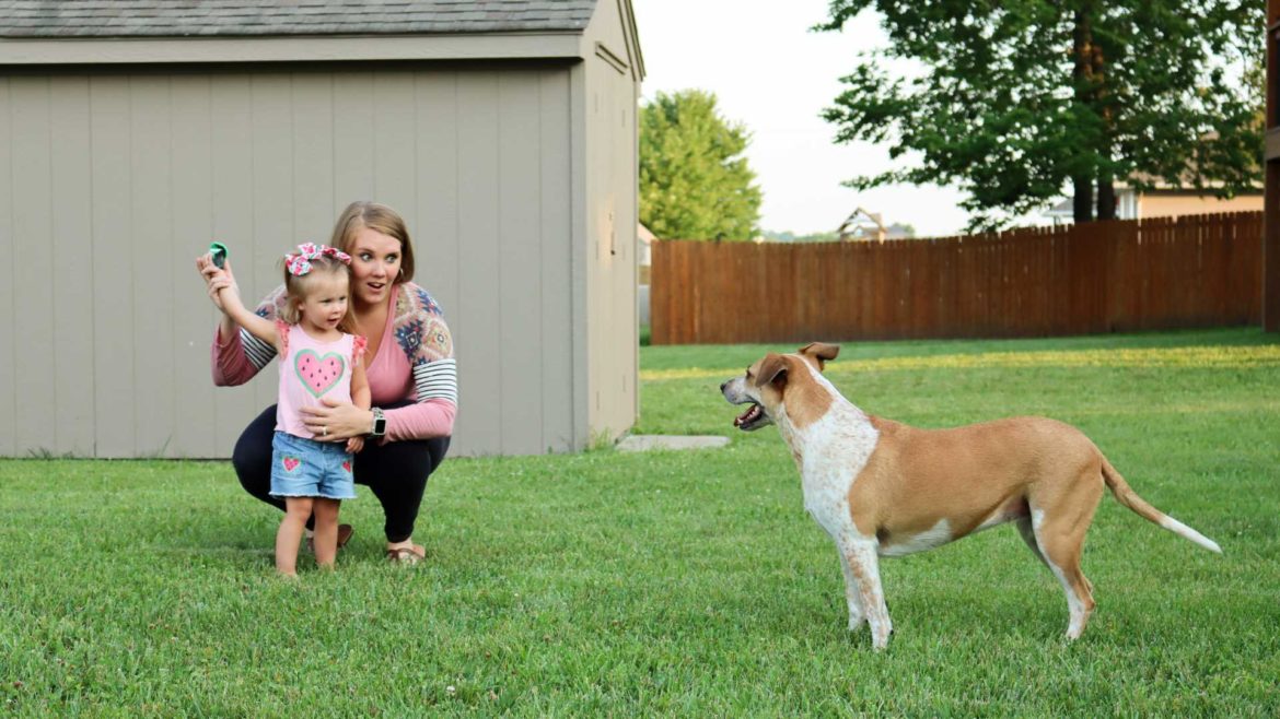 Natalie Eddings plays with her daughter, Noelle (2), and dog, Ginger, in their large, Odessa backyard. The space they gained from the move makes Eddings' commute to the city twice a week well worth it.