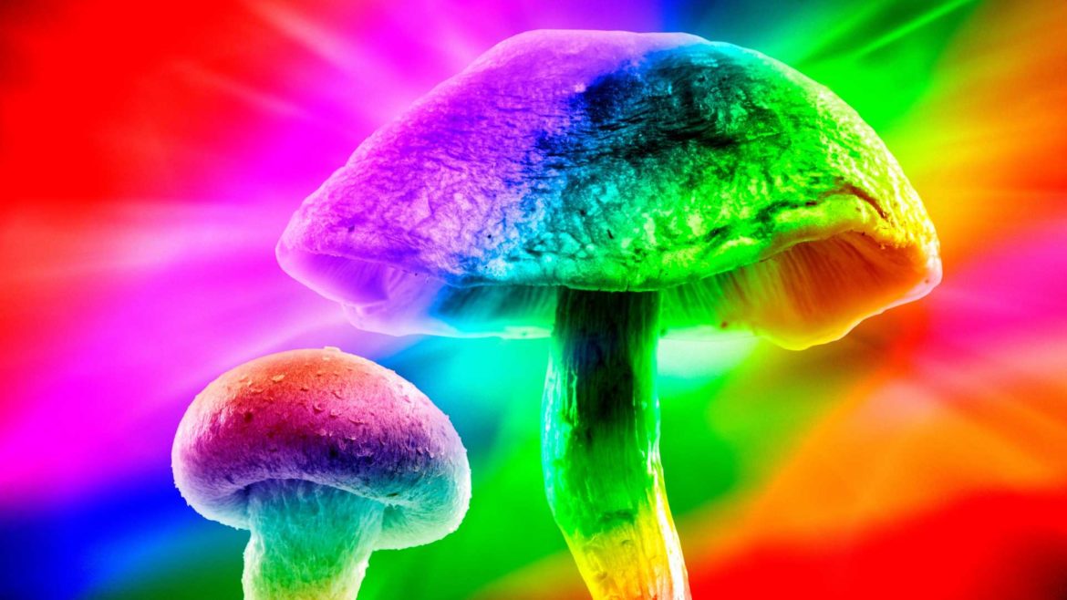 A computer-enhanced composite image of magic mushrooms.