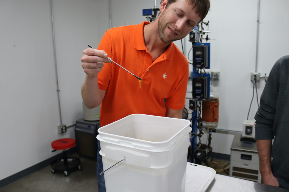 A man drips CBD extract into a bucket.