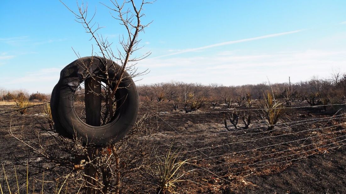 A partially melted tire hangs on a tree near Paradise, Kansas. The surrounding land was scorched by a wildfire in December 2021.