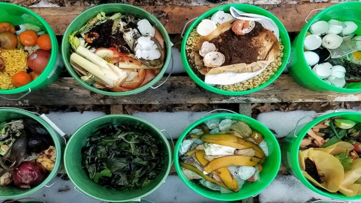 Buckets of food waste.