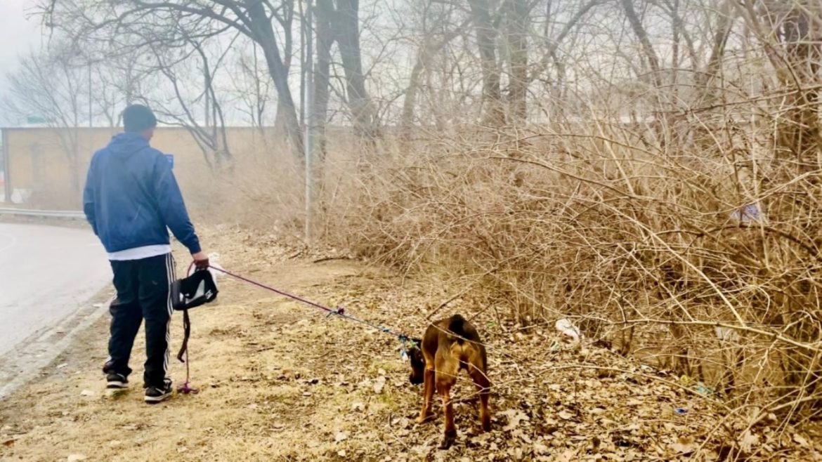 After picking up some supplies from Alice DelBosque of Angel Hearts Rescue Inc., Sabir and his pet Traxie walk off on their own.
