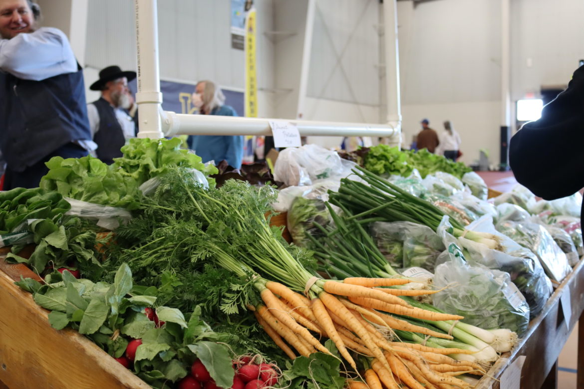 Radishes, carrots, greens and leeks are piled on a table.