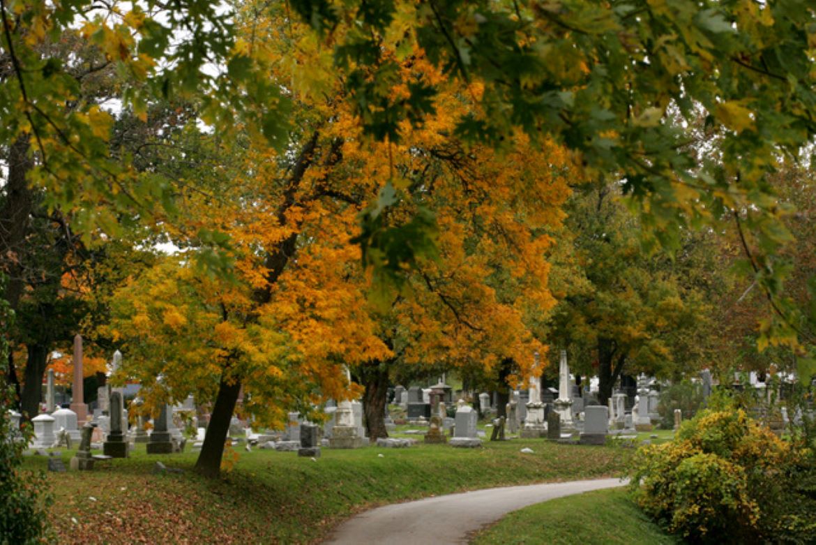 Visitors to Elmwood Cemetery can examine thousands of grave markers and monuments.