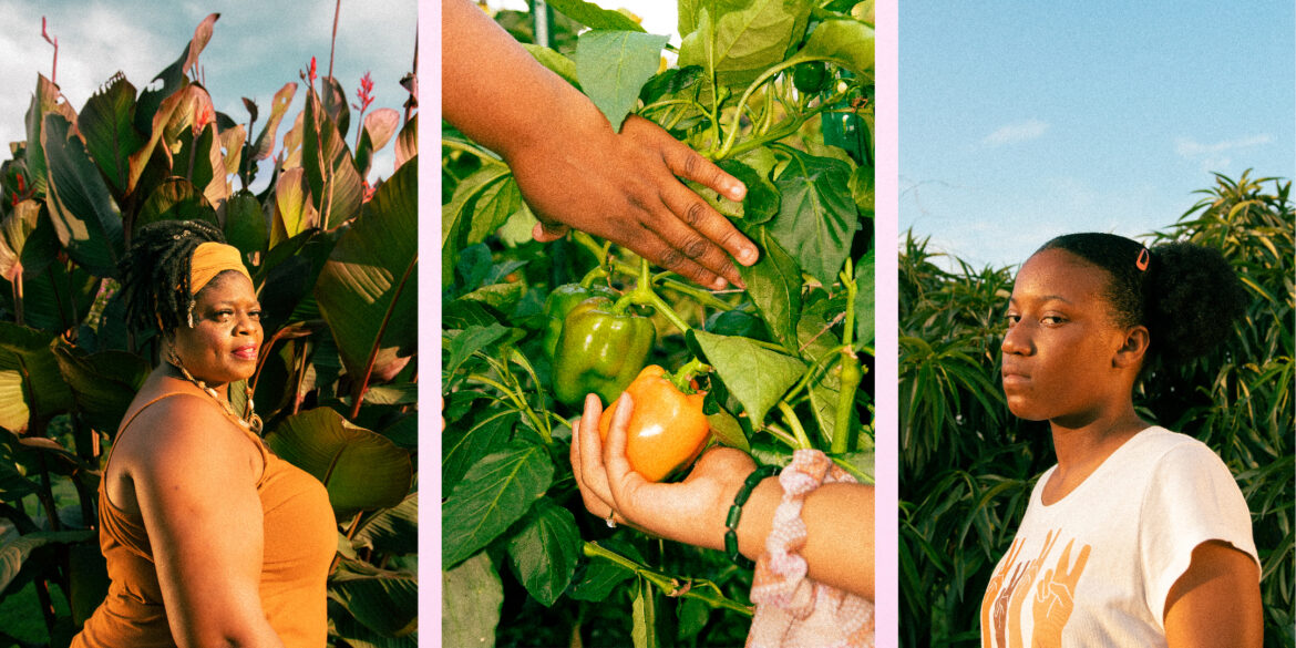 Three images side by side: A woman with an orange shirt against lush greenery, a woman's hand at the left corner pulls back leaves while a child's hand holds a pepper, a teen with a straight face poses against a garden backdrop.