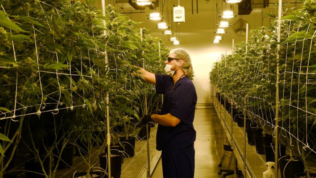 While recent Emerson and Remington polls show a close race, a poll of 670 likely voters conducted in mid-September by SurveyUSA and commissioned by several Missouri television stations found 62% are “certain to vote yes” on Amendment 3.