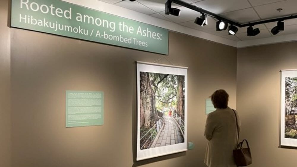 Truman Library visitors to the exhibit can examine Katy McCormick’s photographs displayed alongside witness testimonials of the bombings.