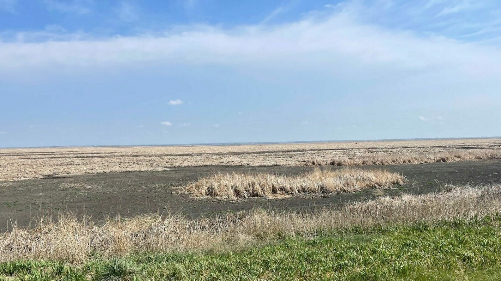 A dry and parched Cheyenne Bottoms wetlands area in central Kansas.
