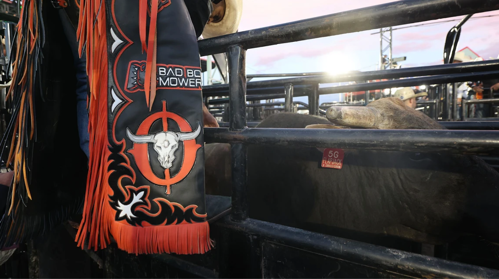 A rider prepares to mount a bull.