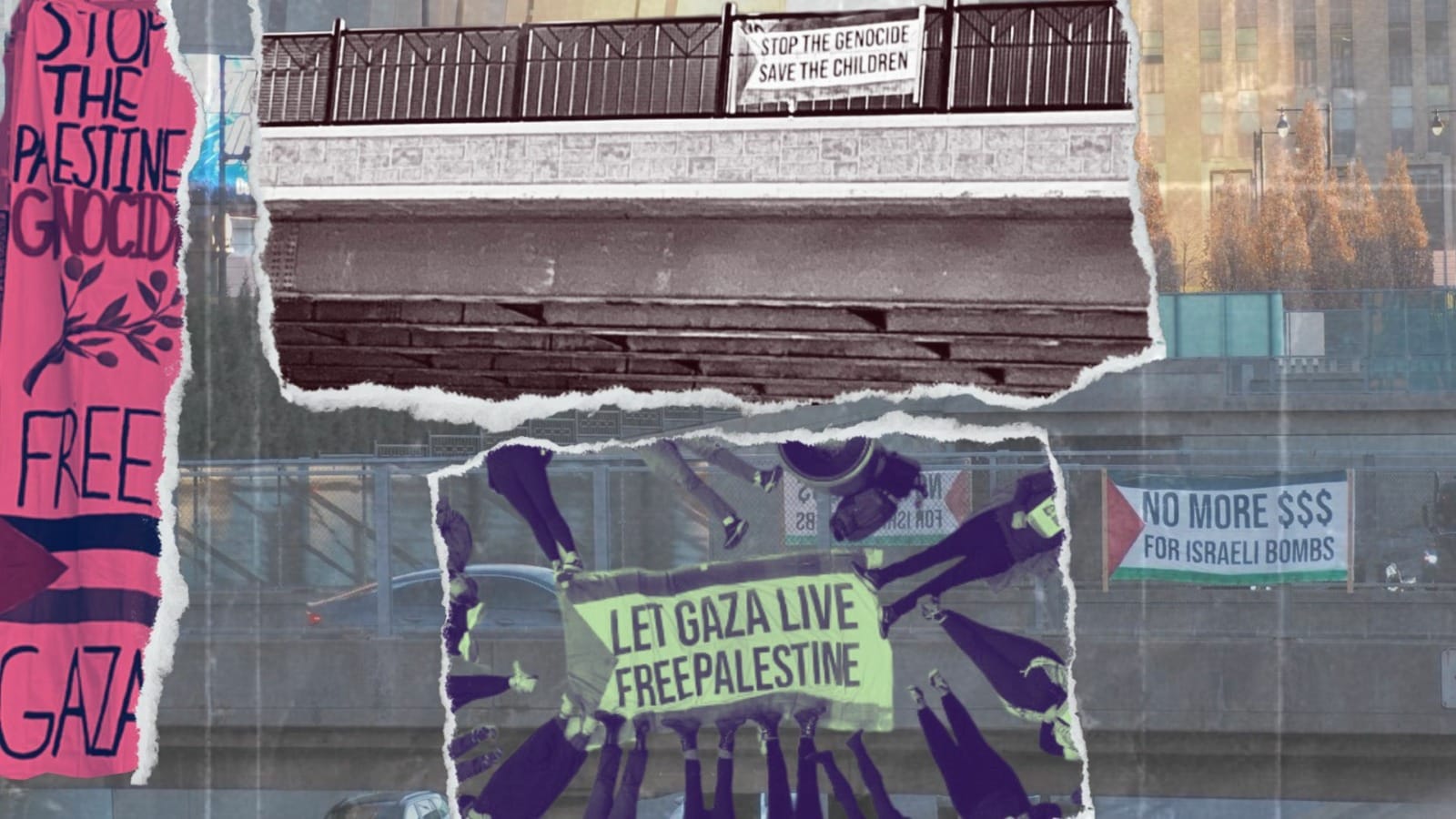 A collage of protest signs supporting Palestinians in Gaza.