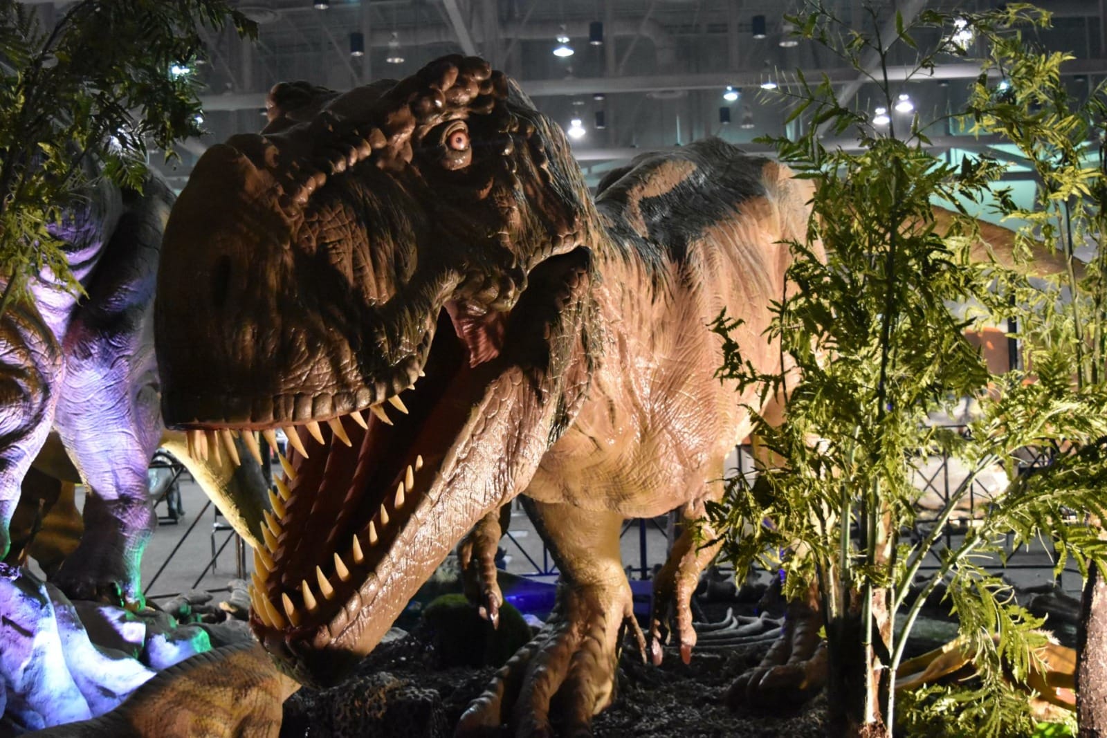 A large animatronic t-rex.