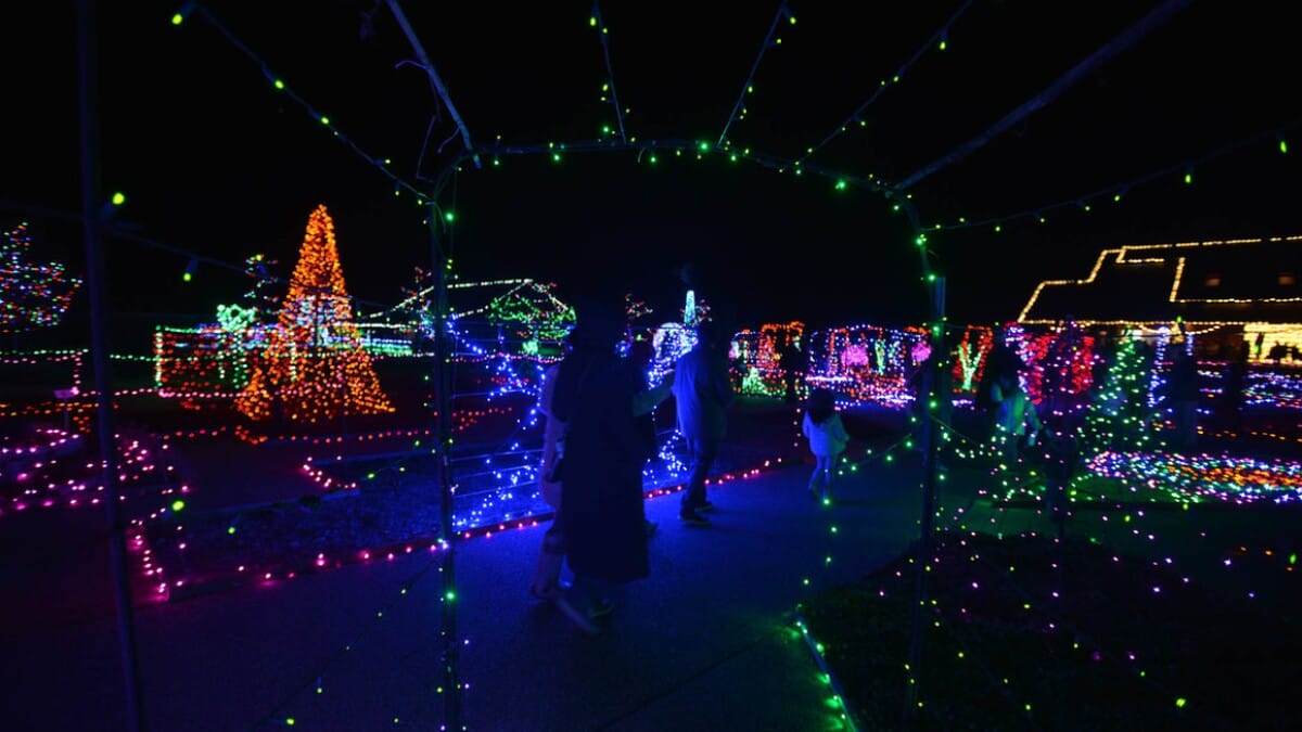 A tunnel of colorful holiday lights
