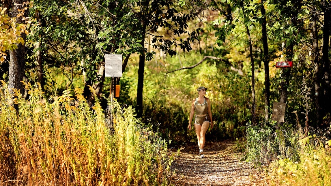 A person walks on a sunny path through the woods.