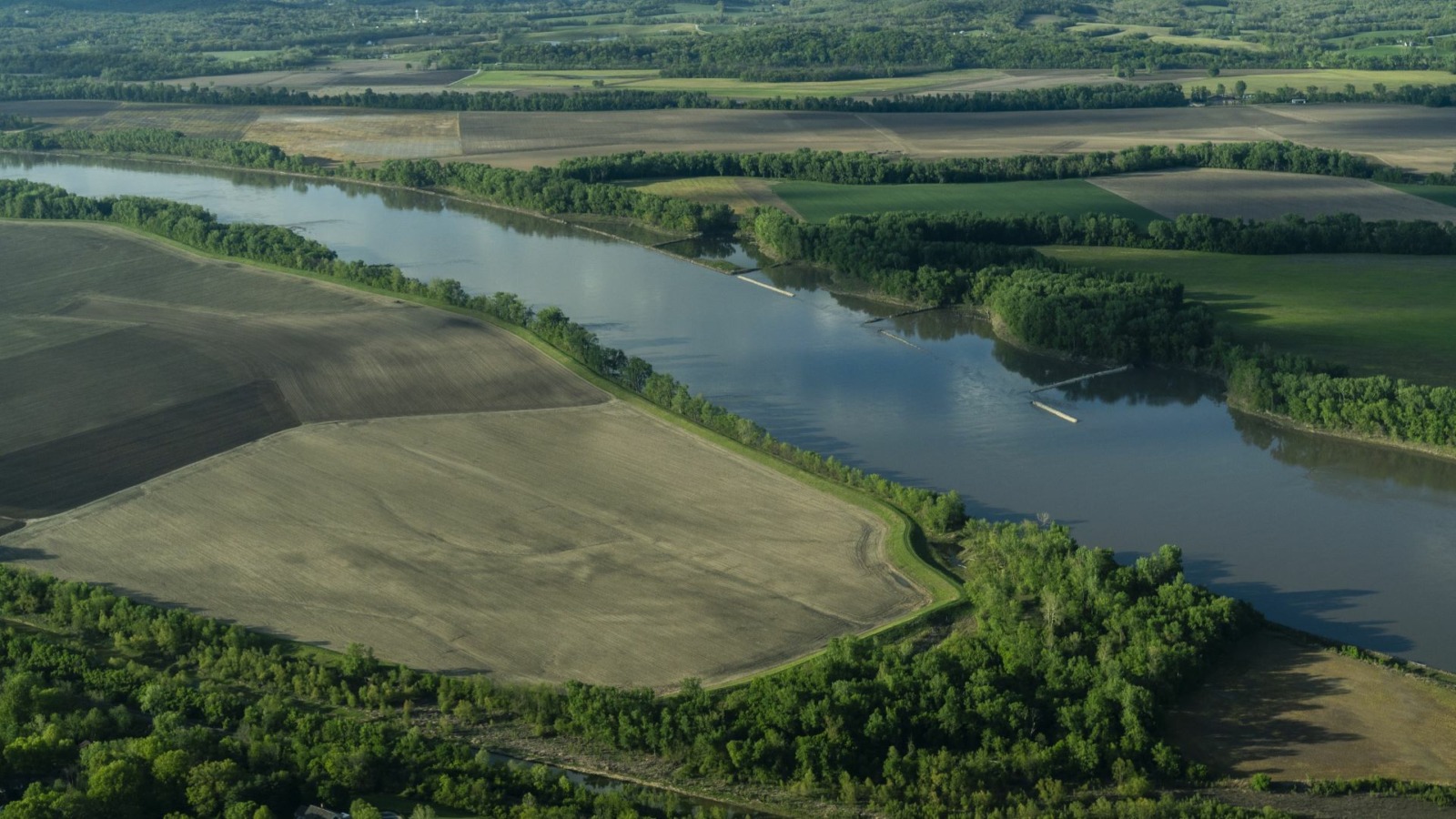 Fertilizer runoff from farmland, like these farms seen along the Mississippi River in Missouri on April 24, 2024, is a major contributor to the dead zone in the Gulf of Mexico.